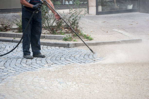 Best Roof Washing  in Escondido, CA